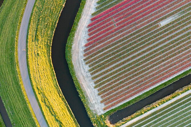 Guided Bike Tour along the Dutch Tulip Fields in Noord Holland - Manon’s guiding style and the small group