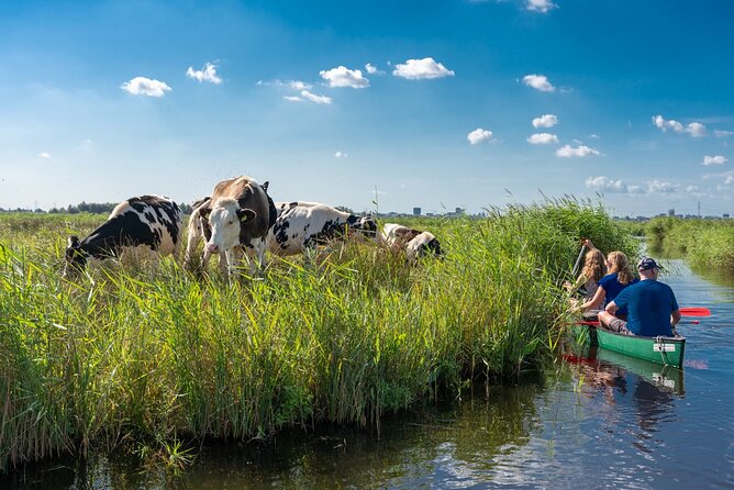 Guided Canoe Adventure with Picnic Lunch in Waterland from Amsterdam - Leaving Amsterdam for Waterland