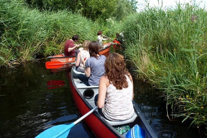 Guided Canoe Adventure with Picnic Lunch in Waterland from Amsterdam - A Picnic on an Island