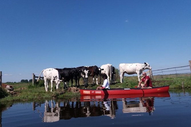 Guided Canoe Adventure with Picnic Lunch in Waterland from Amsterdam - Booking and Cancellation Details