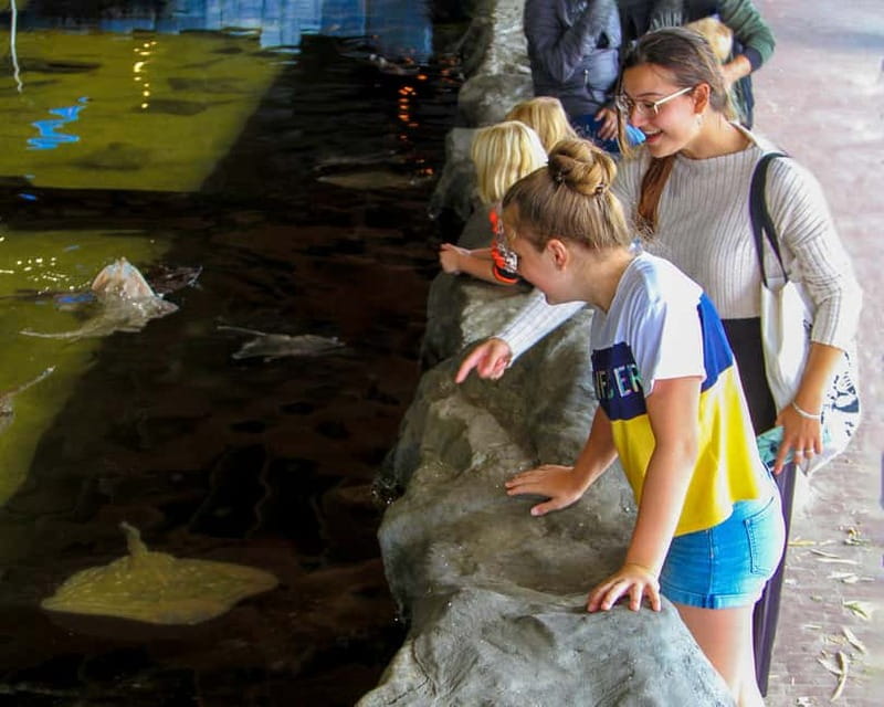 Harderwijk: Dolfinarium Entry Ticket - Waterpret and its seven slides