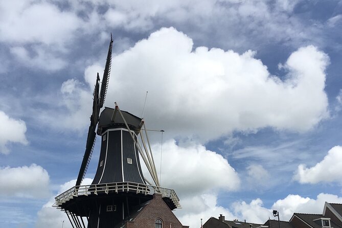 Holland Four City Charm Tour - Private Day Tour - What the private guide adds