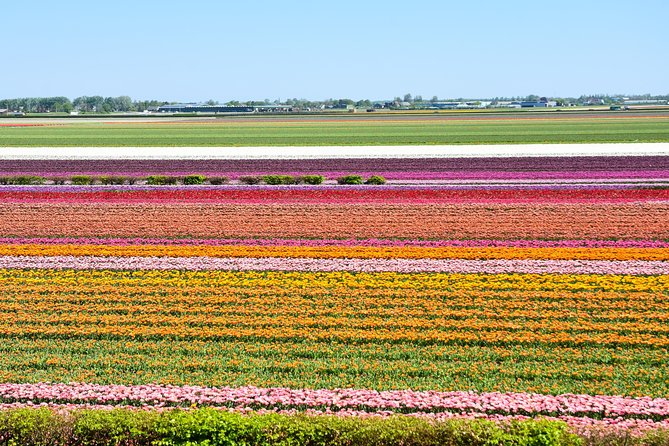 Keukenhof, Flower Fields, Volendam and Zaanse Schans Small-Group Tour - What the $40 price really includes