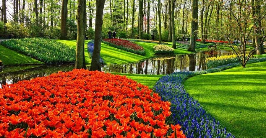 Keukenhof Gardens and Tulip Experience Tour from Amsterdam - Keukenhof in 2.5 hours
