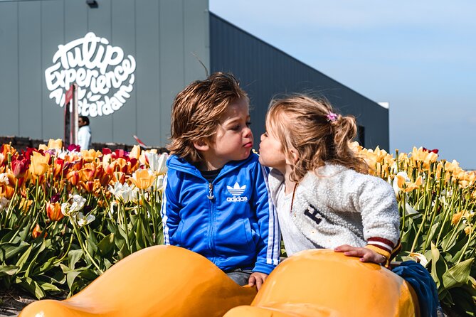 Keukenhof Gardens and Tulips Private Tour from Amsterdam - The value of private pickup from Amsterdam