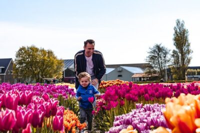 Keukenhof Gardens and Tulips Private Tour from Amsterdam