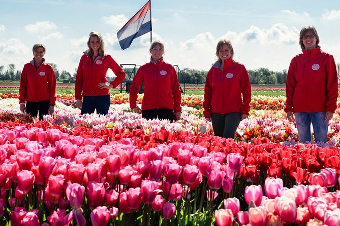Keukenhof Gardens and Tulips Private Tour from Amsterdam - Price: who gets good value at $383.44