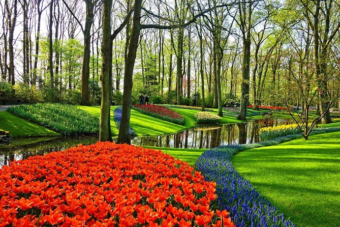 Keukenhof Gardens and Tulips Private Tour from Amsterdam - Booking details worth checking