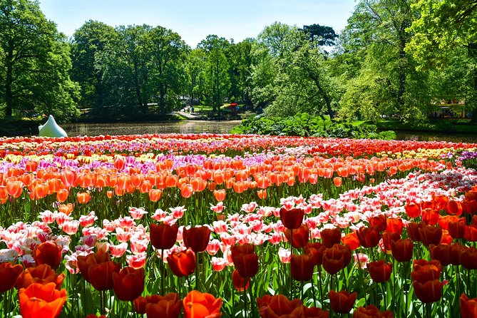 Keukenhof Gardens & Tulip Experience Tour from Amsterdam - Who should book this experience?