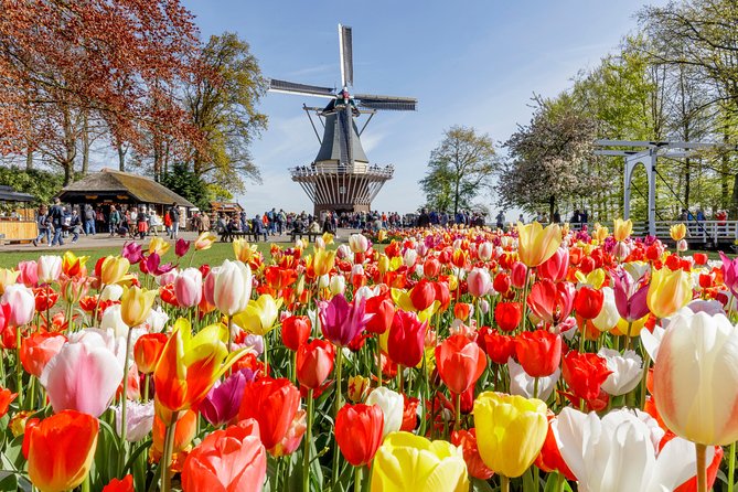 Keukenhof Gardens & Tulip Experience Tour from Amsterdam - Keukenhof Gardens, 32 hectares of careful design