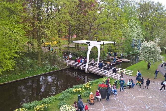 Keukenhof's Tulips and Windmills Small-Group Tour from Amsterdam - Meeting in Amsterdam at 9 a.m.