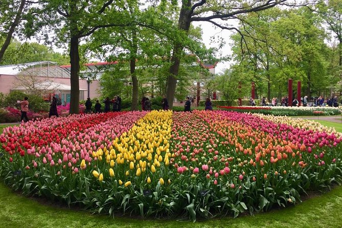 Keukenhof's Tulips and Windmills Small-Group Tour from Amsterdam - Wooden shoes at Kooijman Clogs