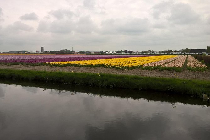 Keukenhof's Tulips and Windmills Small-Group Tour from Amsterdam - Climbing Molen De Kat