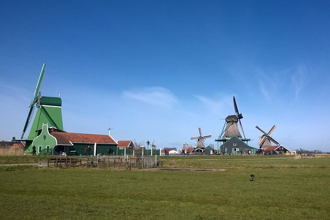 Keukenhof's Tulips and Windmills Small-Group Tour from Amsterdam - Keukenhof: three hours among spring flowers