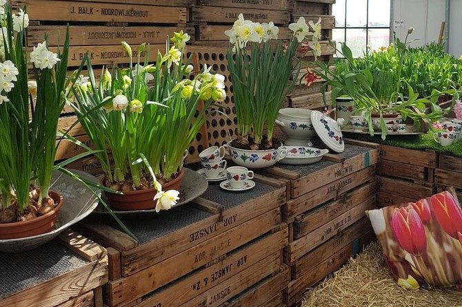 Keukenhof Skip-the-line Tickets: Countryside & Farm Private Tour - One long day from Amsterdam to the Dutch countryside
