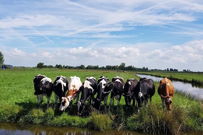Keukenhof Skip-the-line Tickets: Countryside & Farm Private Tour - Zaanse Schans: windmills with a one-hour limit