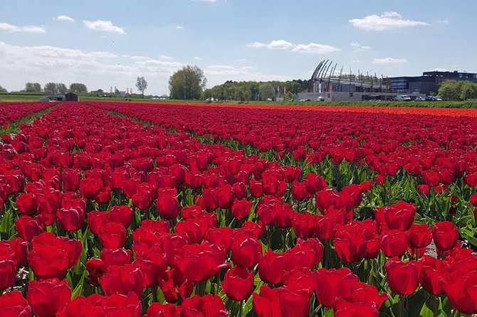 Keukenhof Skip-the-line Tickets: Countryside & Farm Private Tour - What the private Mercedes service adds