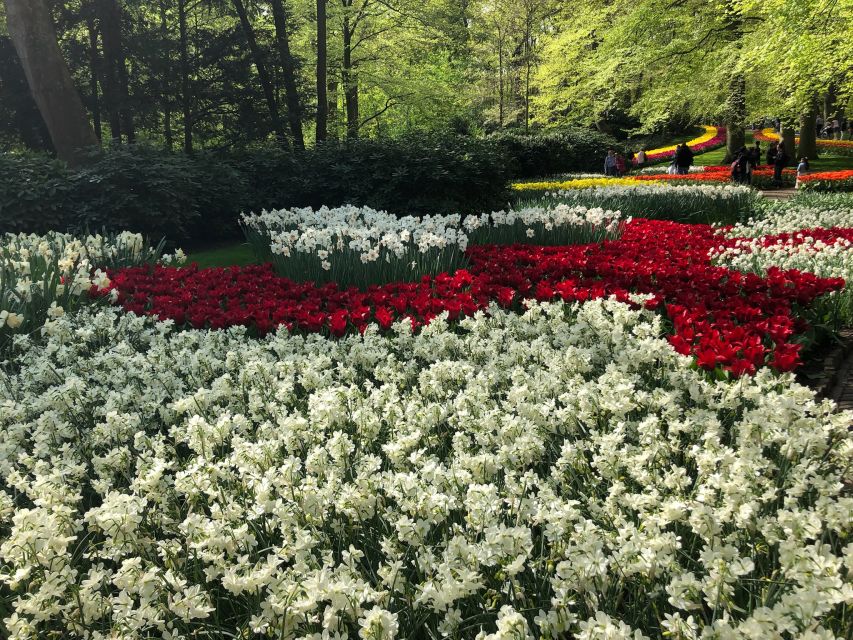Keukenhof, Tulip Farm, Flower Fields & Windmills - Key points at a glance