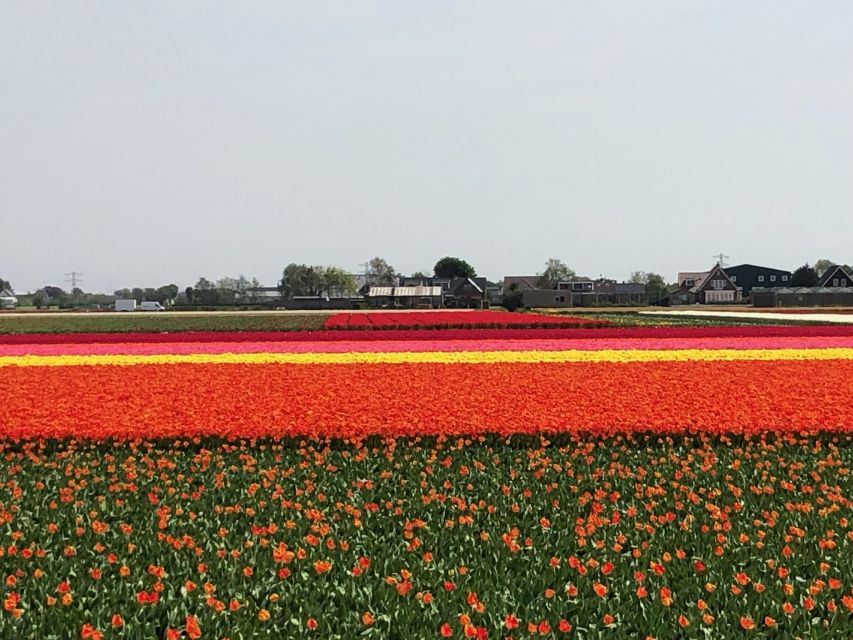 Keukenhof, Tulip Farm, Flower Fields & Windmills - Timing, comfort, and what to bring