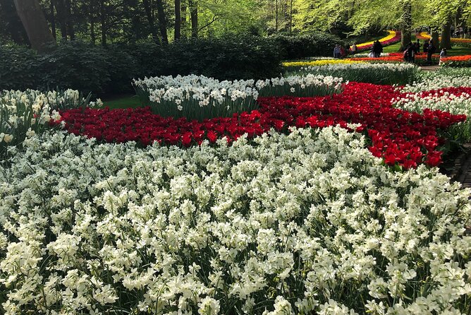 Keukenhof, Tulip Farm, Flower Fields & Zaanse Schans Windmills - Flower fields and a tulip farm photo stop