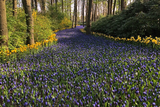 Keukenhof, Tulip Farm, Flower Fields & Zaanse Schans Windmills - Keukenhof: four hours among flowers and garden displays
