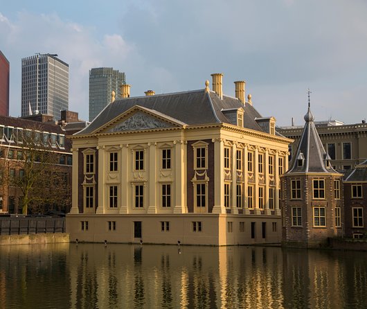 Kinderdijk, The Hague, Mauritshuis Private Tour from Amsterdam - The meeting point deserves careful attention