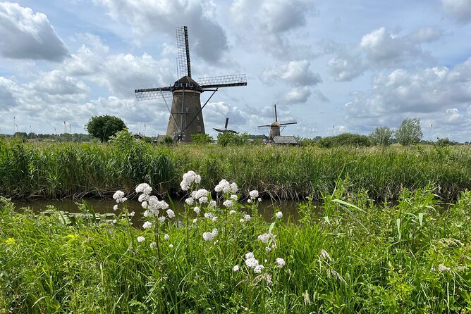 Kinderdijk Windmills, Delft City & Delft Blue Factory Visit - Delft offers a slower, more human half-day