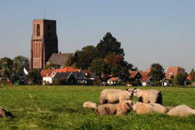 Off the Beaten Paths Dutch Landscape Private Tour 1/2 day Jaguar