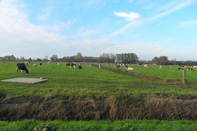 Off the Beaten Paths Dutch Landscape Private Tour 1/2 day Jaguar - Cheese, clogs, and the Simonehoeve option