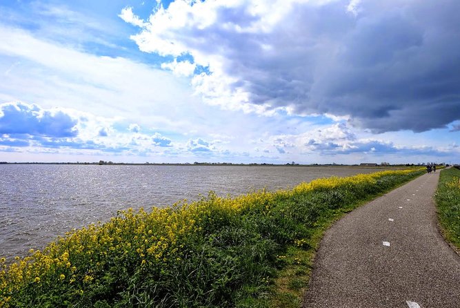 Off the Beaten Paths Dutch Landscape Private Tour 1/2 day Jaguar - What the private format really adds