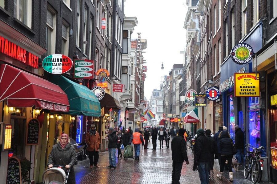 Private Amsterdam Walking Tour - Starting near Amsterdam Central Station