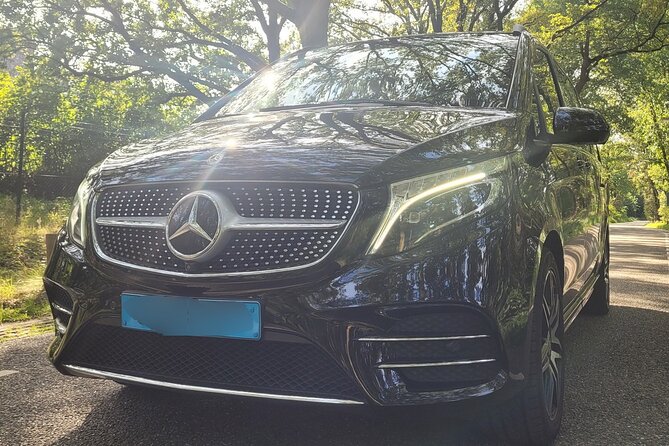 Private Arrival Transfer: Schiphol Airport Amsterdam - Arriving at Schiphol and finding your driver