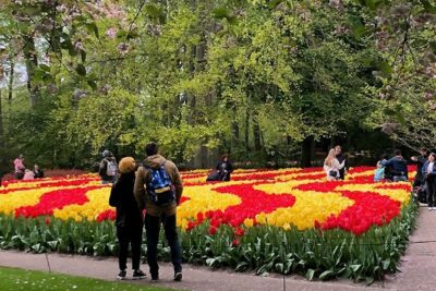 Private Day Tour to Keukenhof Gardens – from Amsterdam/Rotterdam