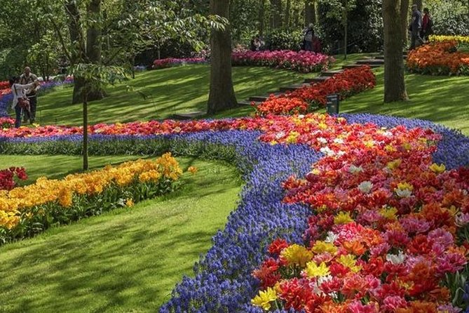 Private Day Tour to Keukenhof Gardens - from Amsterdam/Rotterdam - Is the advertised $23 price good value?