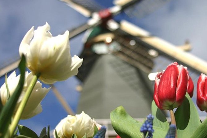 Private Day Tour to Keukenhof Gardens - from Amsterdam/Rotterdam - Practical details to sort out before booking