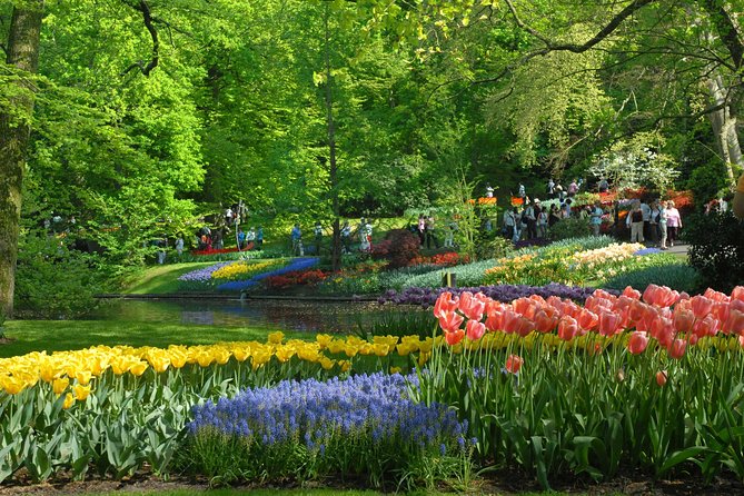 Private Day Trip from Amsterdam to Keukenhof with Entrance Tickets - Photos, lunch, and a possible tulip-farm stop