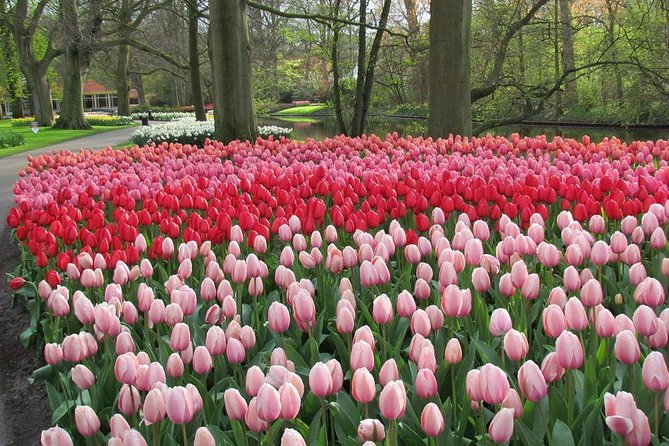 Private Day Trip from Amsterdam to Keukenhof with Entrance Tickets - Who will get the most from this outing