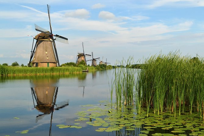 Private Day Trip from Amsterdam to Rotterdam and the Hague - What the private format really adds