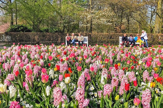 Private Day Trip to Keukenhof Gardens with Entrance Tickets - Leaving Amsterdam for Lisse