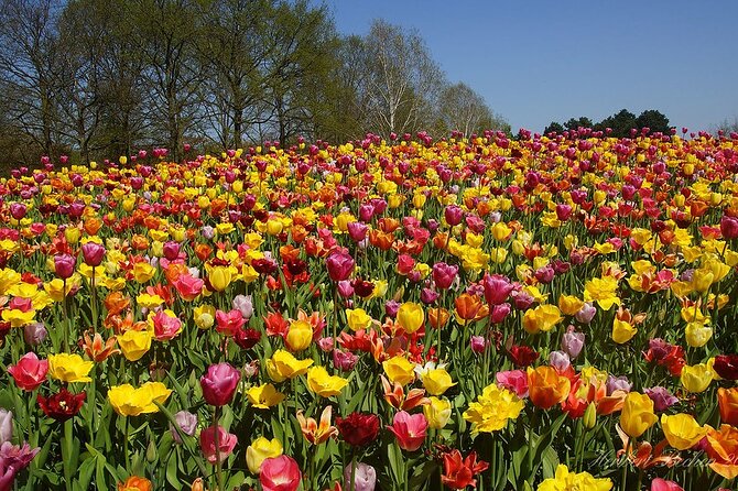 Private Day Trip to Keukenhof Gardens with Entrance Tickets - Entering Keukenhof with the ticket included
