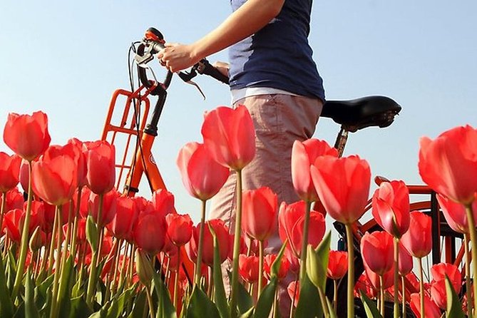 Private Guided Full-Day Customizable Tour of Holland from Amsterdam - Family heritage trips are a special strength