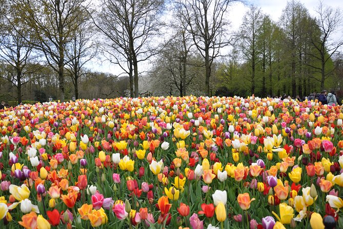 Private Guided Keukenhof Gardens and Zaanse Schans Tour - Why this route works so well from Amsterdam