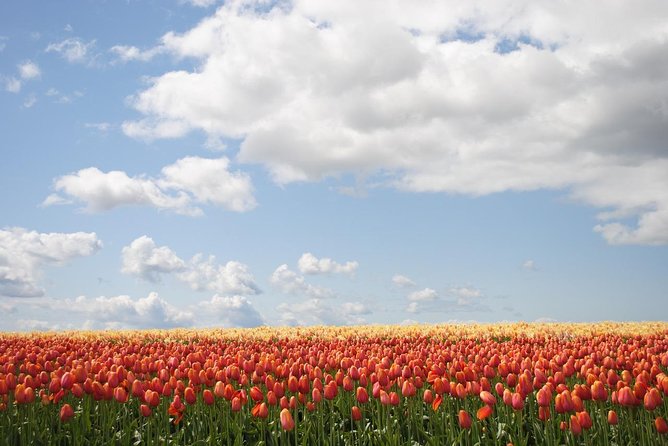 Private Half-Day Trip From Amsterdam to The Tulip Fields in Keukenhof - Entering Keukenhof between March and May