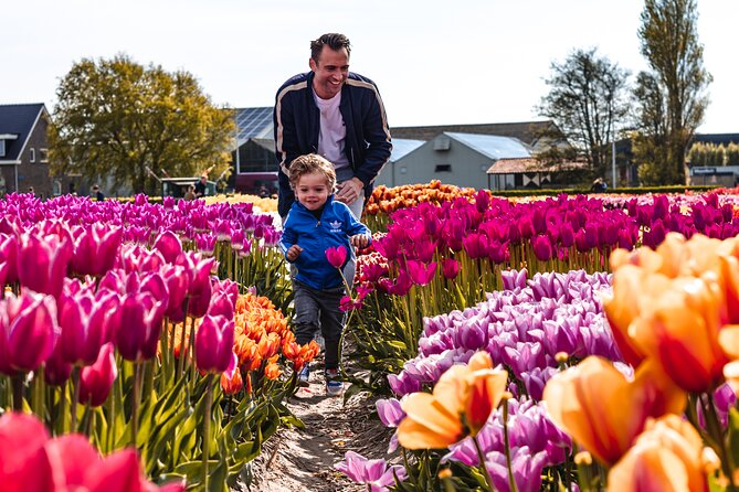 Private Keukenhof Gardens and Tulip Fields Tour from Amsterdam - Private transport and the role of the driver-host