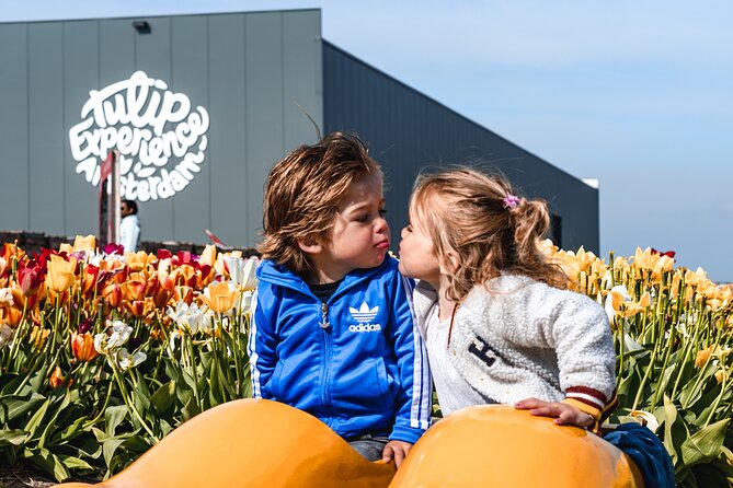 Private Keukenhof Gardens and Tulip Fields Tour from Amsterdam - Who will enjoy this tour most?