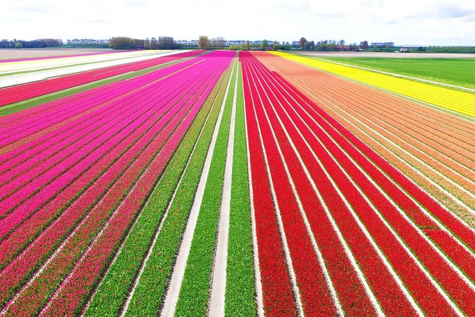 Private Keukenhof Park and Tulip Fields Tour (Skip-The-Line) - Why Keukenhof is worth the five-hour trip