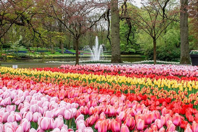 Private Keukenhof Park and Tulip Fields Tour (Skip-The-Line) - The ride from Amsterdam and the flexible pickup