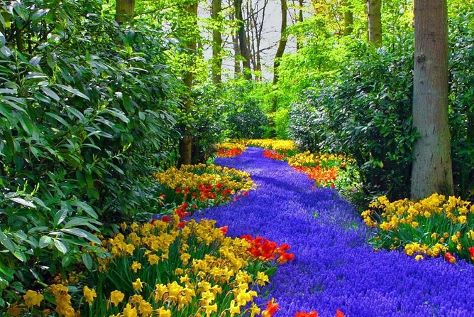 Private Keukenhof Park and Tulip Fields Tour (Skip-The-Line) - Should you book it?