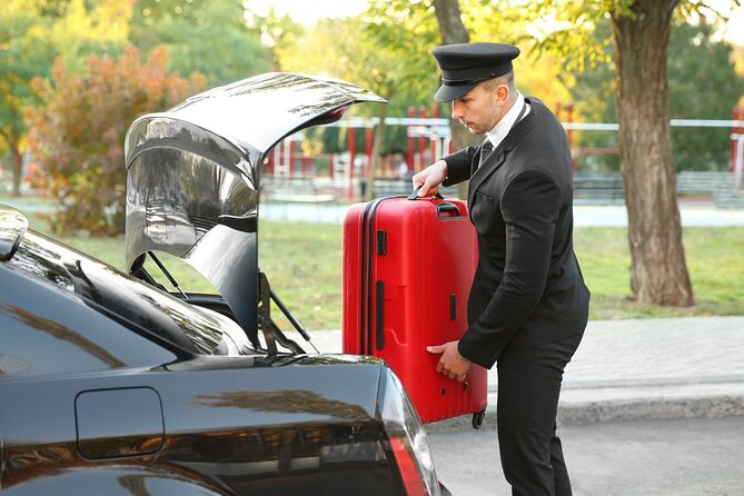 Private One way Transfer Amsterdam Airport to Amsterdam - What happens after you land at Schiphol