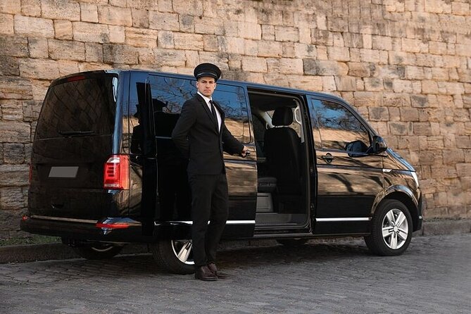 Private One way Transfer Amsterdam Airport to Amsterdam - Choosing between a sedan, minivan, and minibus